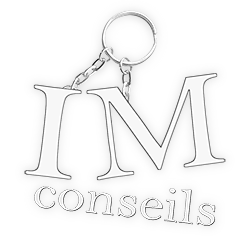 Site logo IM conseils